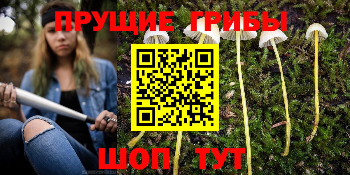 Псилоцибиновые грибы мицелий Нерюнгри