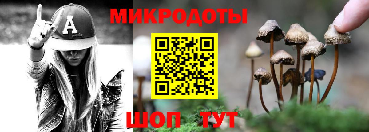 Нерюнгри  Галлюциногенные грибы Psilocybe  Галлюциногенные грибы прущие грибы  закладка  Вход с VPN 